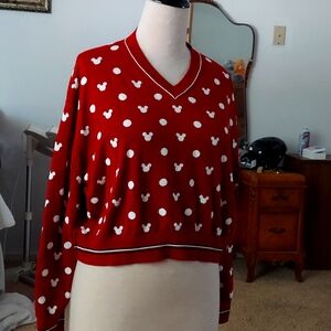 Tommy Hilfiger Disney100 Collection  V neck sweater